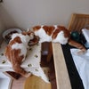 Tom\'s picture