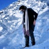 Dev\'s picture