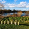 Photo 9: Eastbrookend County Park