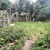 Photo 9: Garden