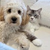 Photo 9: Panko & Wasabi