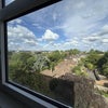 Photo 4: window view