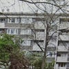 Photo 12: from King Square Gardens