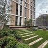 Photo 9: Garden or Patio