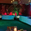Photo 8: Garden