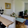 Photo 5: Kitchen/living/dining area