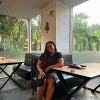 Photograph of Stephania