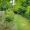 Photo 7: Garden with garage at the bottom