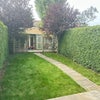 Photo 7: Garden