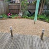 Photo 7: GARDEN