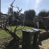 Photo 6: Garden