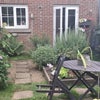 Photo 4: Back garden seatinh
