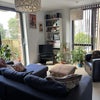 Photo 4: Living room
