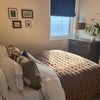 Photo 2: Room (Yours)