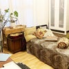 Photo 3: room for rent
