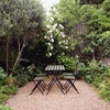 Photo 1: Courtyard garden