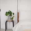 Photo 8: Bedroom 2