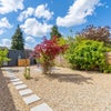 Photo 5: Garden