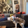 Benji\'s picture