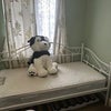 Photo 2: Room 1- £750 Available Now