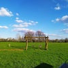 Photo 8: Cayton Green Park