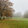 Photo 9: Paradise Fields