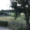 Photo 9: view out of bedroom