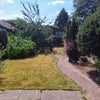 Photo 8: Back Garden