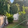 Photo 8: Our Garden