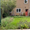 Photo 9: Garden or Patio