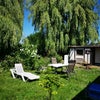 Photo 2: The back garden