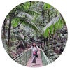 Patricia\'s picture