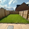 Photo 8: Garden