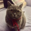 Ela\'s picture