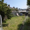 Photo 7: The Garden