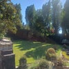 Photo 4: View from window