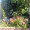Photo 6: View from window