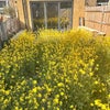 Photo 9: Extension View/Garden