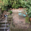 Photo 5: Back garden