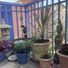 Photo 9: Balcony 