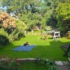 Photo 8: Back Garden