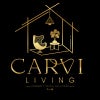 Photograph of CARVI