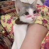 Photograph of Maham