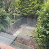 Photo 5: Garden