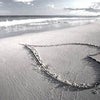 Sandra\'s picture