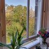 Photo 3: Quiet room overlooking the garden
