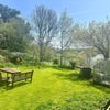 Photo 8: Shared garden overlooking the loch