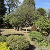 Photo 6: Garden