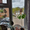 Photo 5: View from.lounge