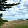 Photo 8: Highcliffe Beach